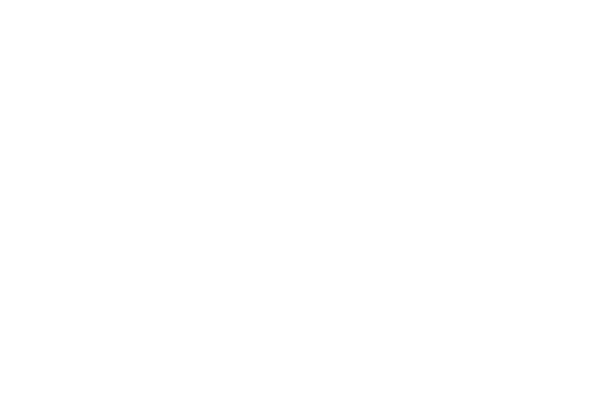 FT Express Freight Logistics